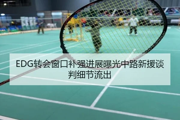 EDG转会窗口补强进展曝光中路新援谈判细节流出