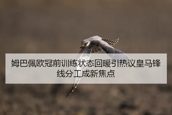 姆巴佩欧冠前训练状态回暖引热议皇马锋线分工成新焦点