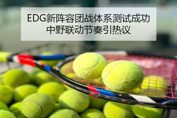 EDG新阵容团战体系测试成功 中野联动节奏引热议